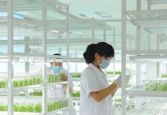 16535536516785.png image.png